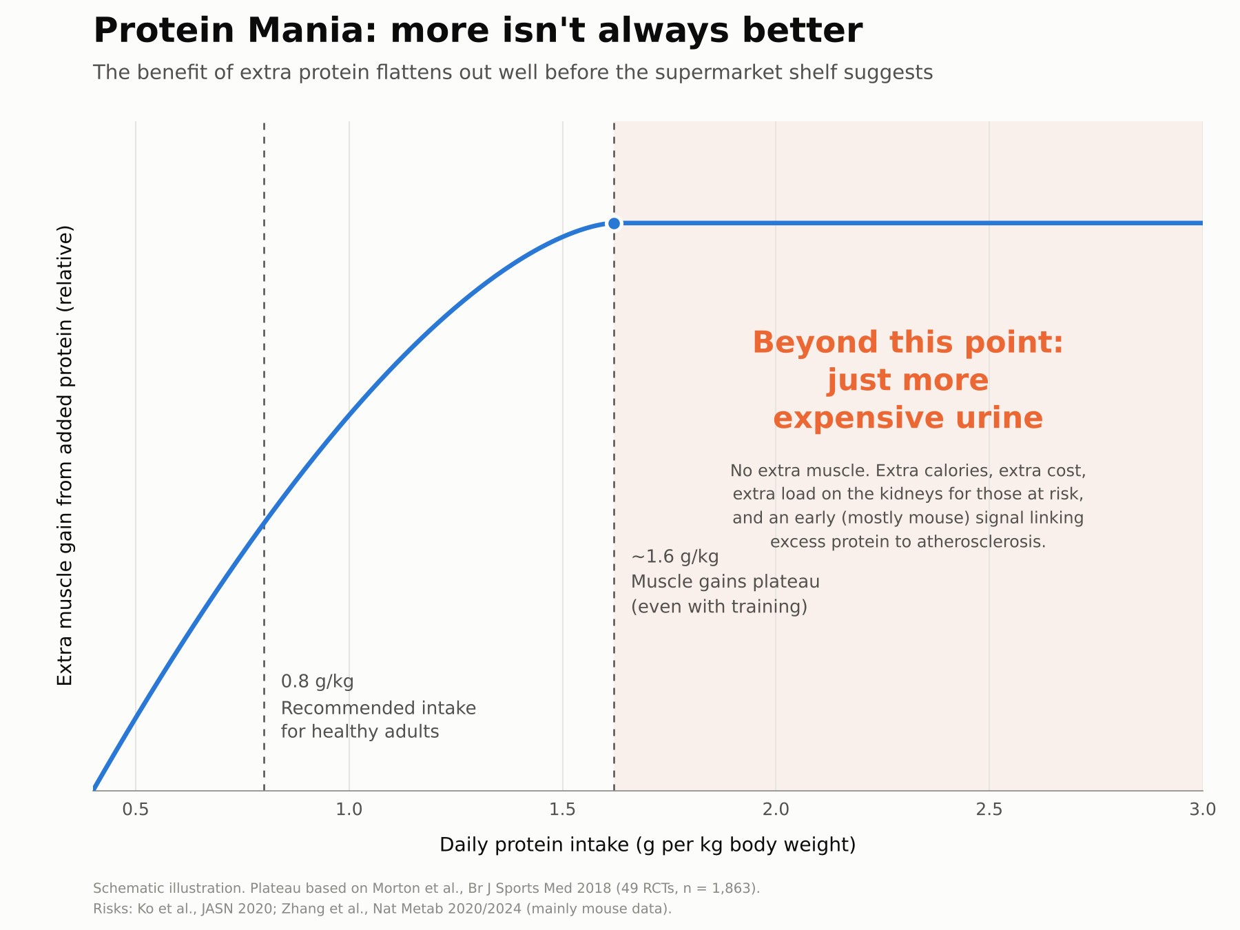 Chart showing muscle gain plateauing above roughly 1.6 grams of protein per kilogram of bodyweight per day, based on a 49-trial meta-analysis